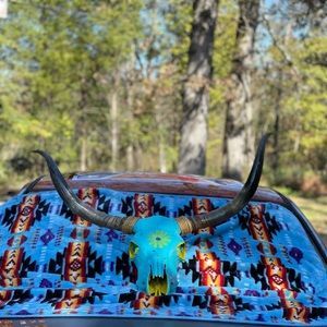 Authentic steer skull  measuring to be 3ft 4in on horn span.